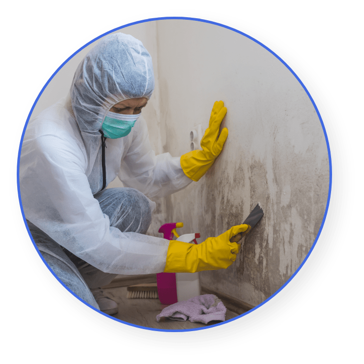 Main Banner Image min 1