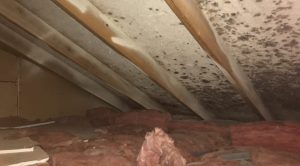Crawlspaces