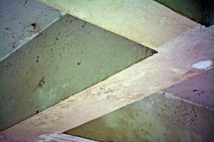 mold basement