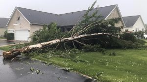 Restoration Services