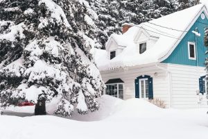 Winter