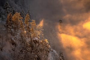 Winter Fires