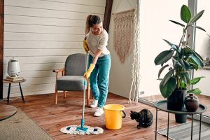 house cleaning