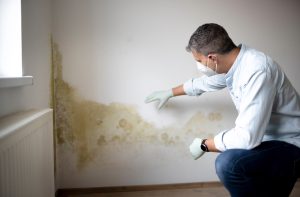mold services