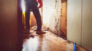 Damage Restoration