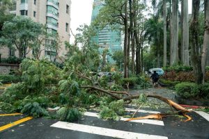 Disaster Cleaning