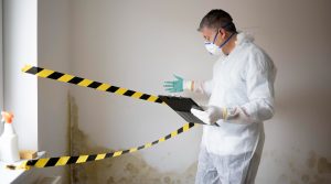 Mold Inspector