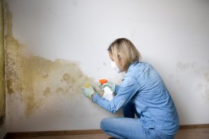 Cleaning Services