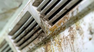Mold in HVAC Systems
