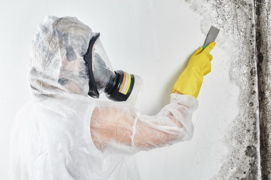 Mold