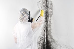 Black Mold