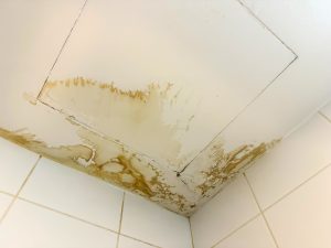Water Cleanup