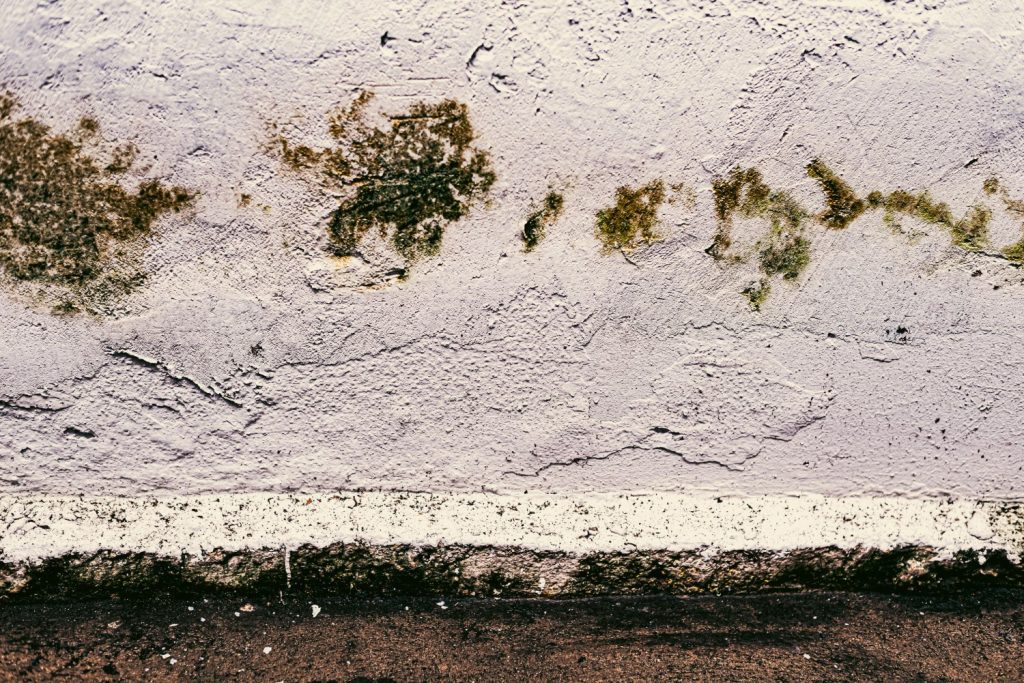 Mold