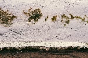 Mold
