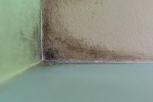 Water Damage