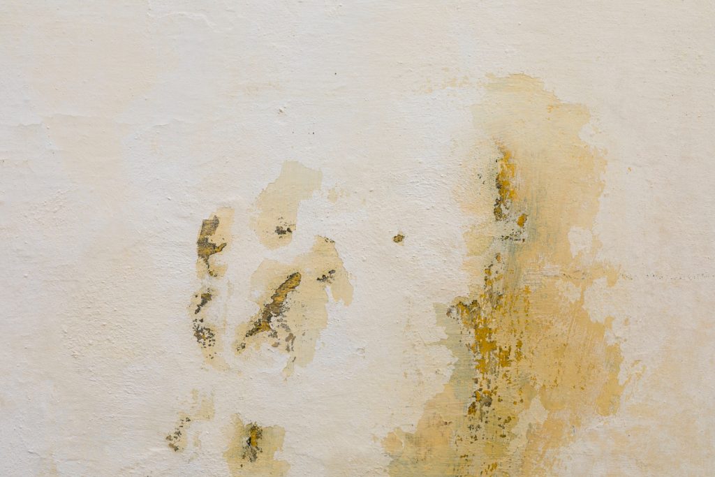 Mold
