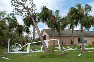 Storm Damage