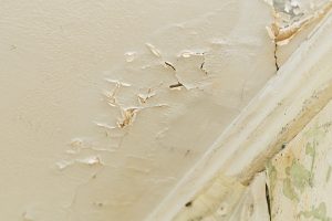 Leaky Roofs