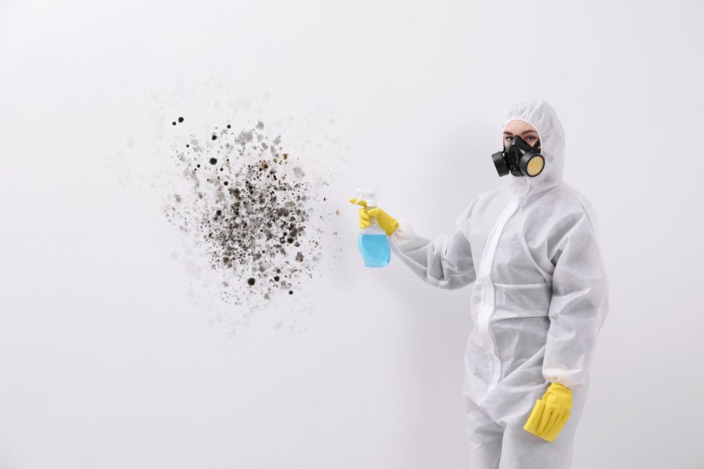 Mold Cleaning