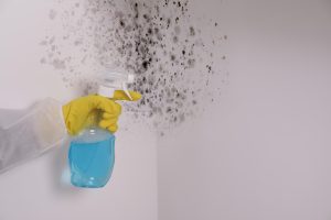 Mold