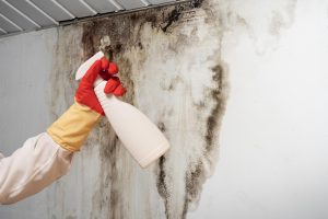 Mold
