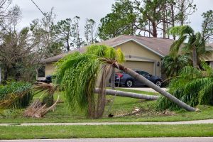 Storm Damage Cleanup