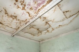 Water Cleanup Services