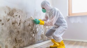 Mold