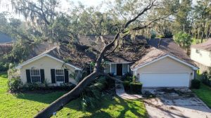 Storm Damage