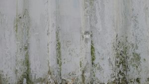 Mold