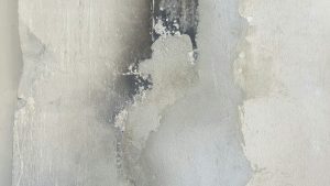 Mold