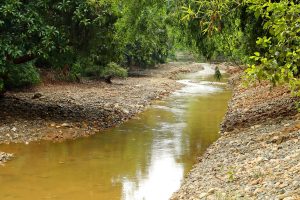 Flood Protection