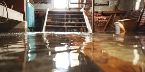 Flood Cleanup