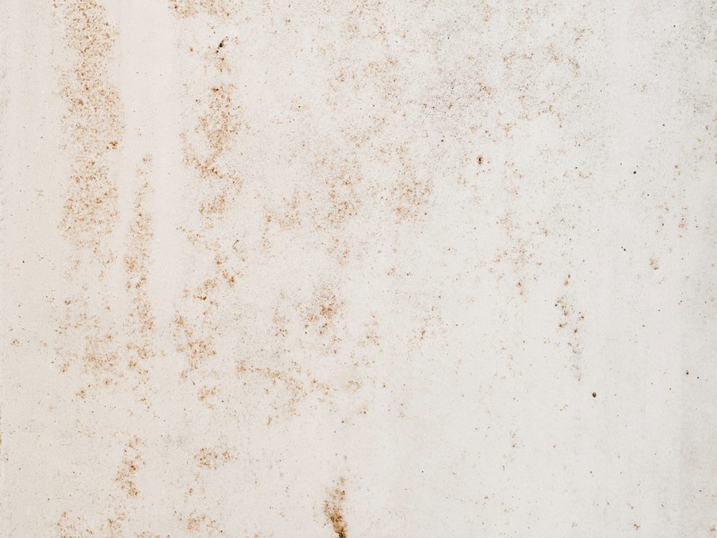 Mold