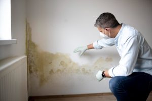Bedroom Mold