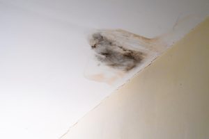 Basement Odors