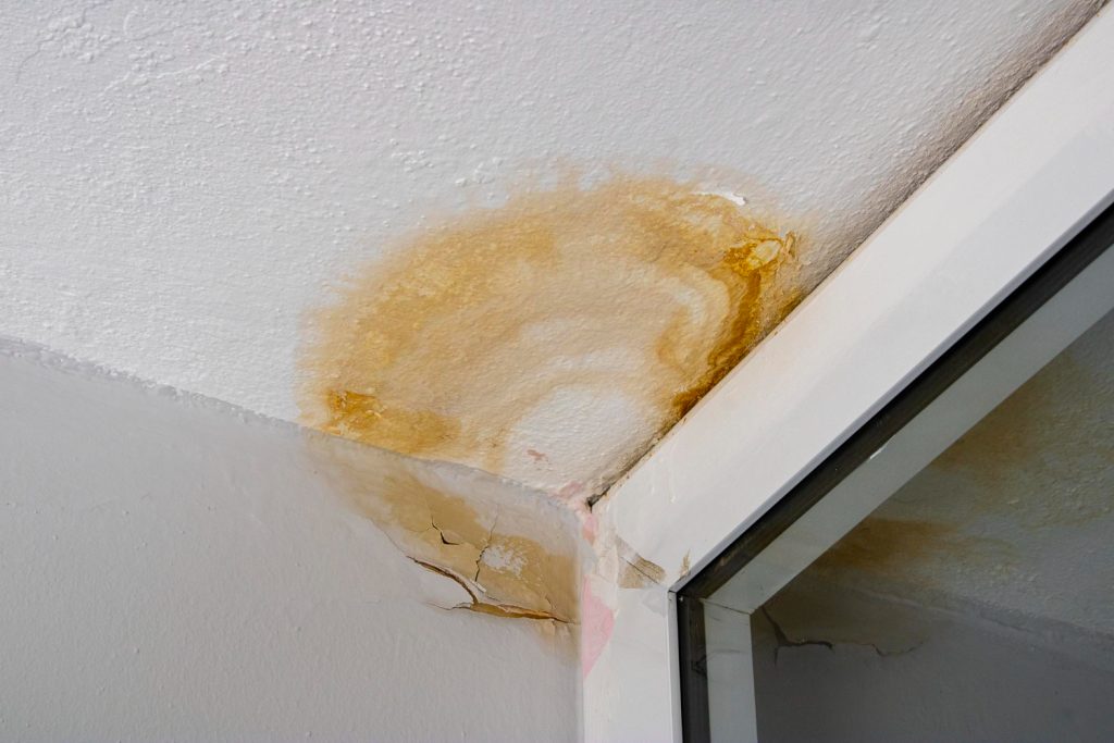 Ceiling Water Spots