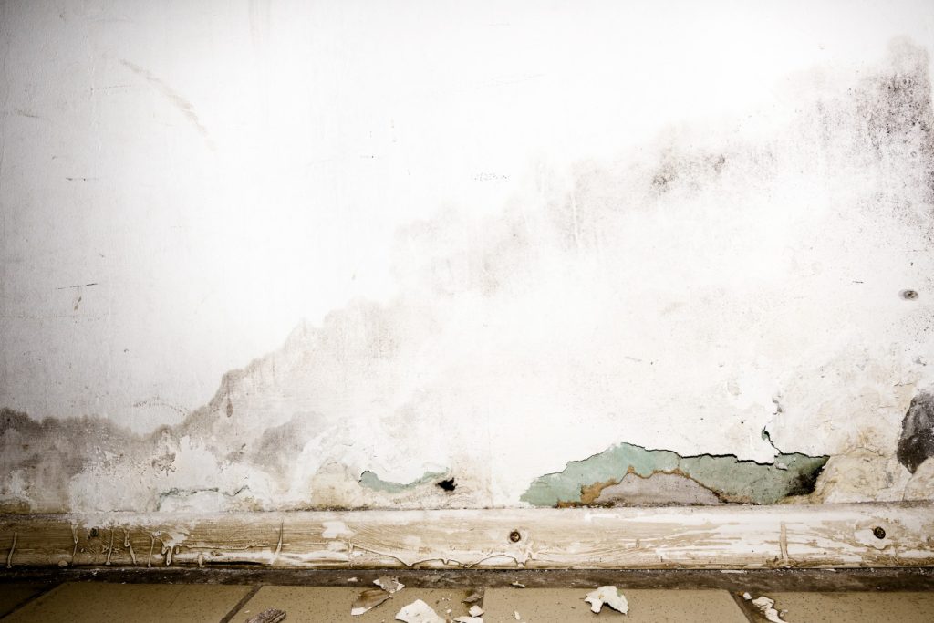Water Seepage