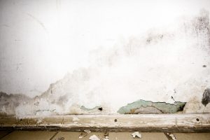 Water Seepage