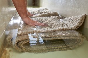 Water-Soaked Carpets