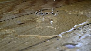 Hardwood Floor