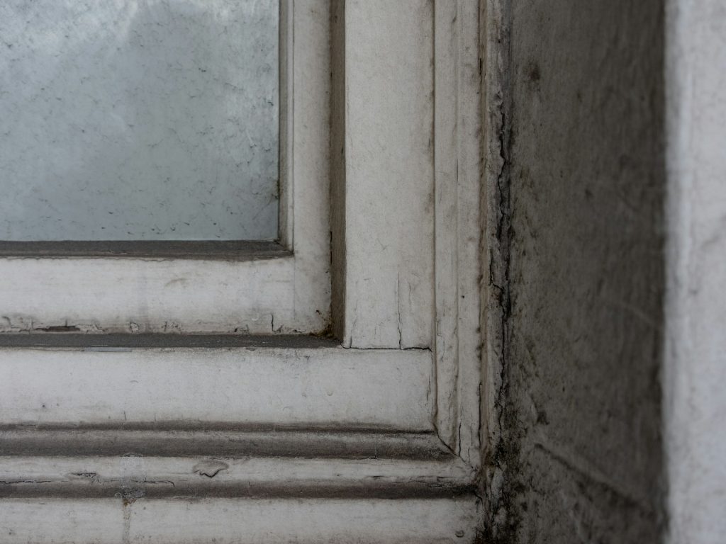 Window Seal Failures