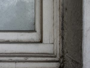 Window Seal Failures