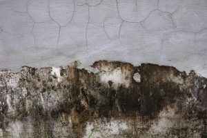 Water Damage