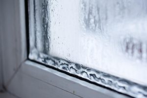 Window Damage