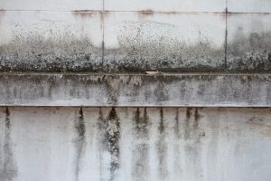 Water Damage