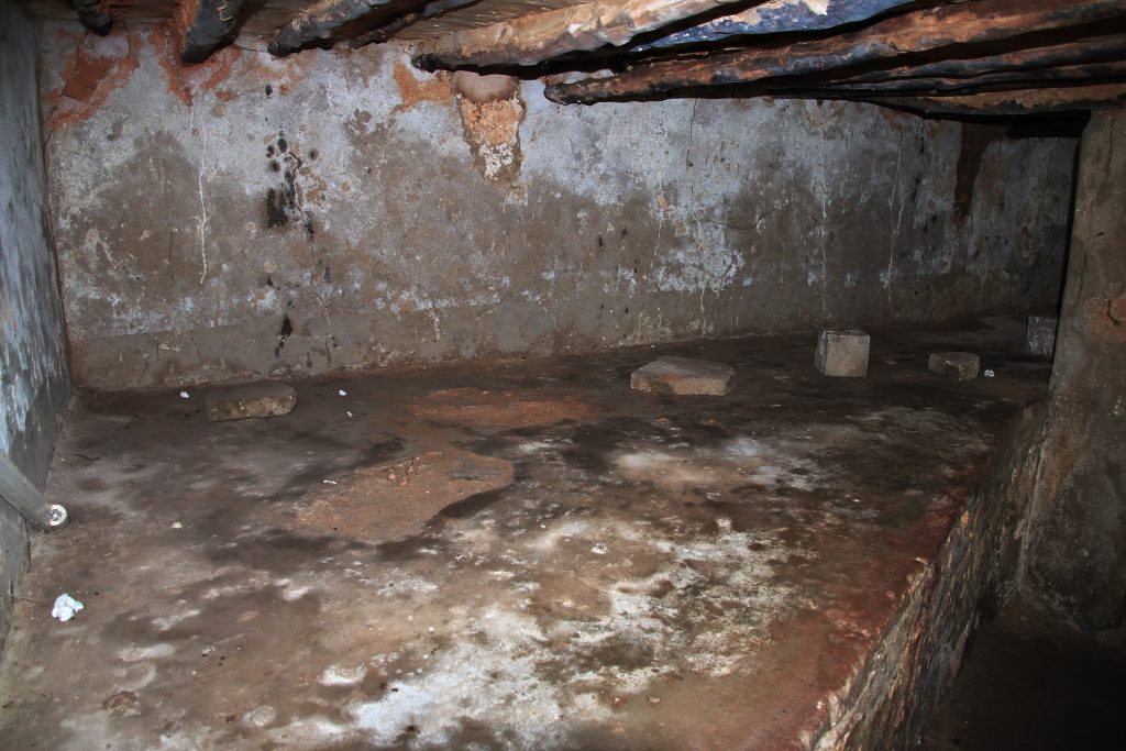 Crawlspace Mold