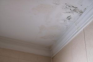 Water Damage