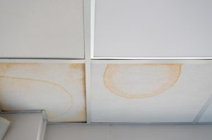 Leak Stain