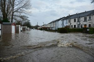 Flood Damage Assessment